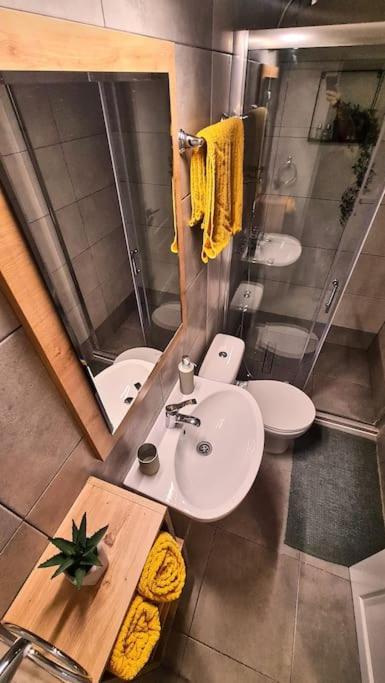Downtown Studio-loft * Constanţa