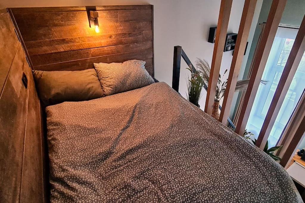 Downtown Studio-loft Apartament